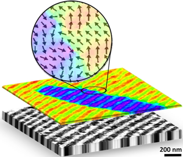 Scanning electron microscope images of a cobalt film grown