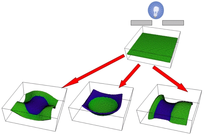 Photo-morphing of initially flat gel sample