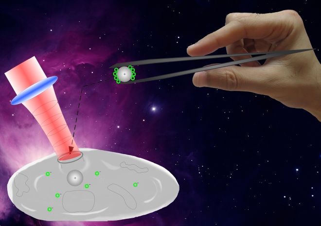 Optical manipulation of plasmid-coated particles and insertion into the cell through a small pore punctured by a short-pulsed laser