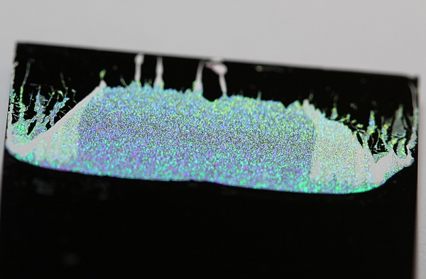 Photograph of a two-dimensional array of microspheres adhered to a substrate