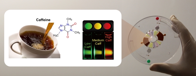 Fully automated microdfluidics device using lab-on-a-disc technology to extract and measure caffeine