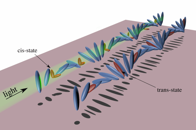 This image shows the molecular structure of the liquid crystal helix and the embedded dyes