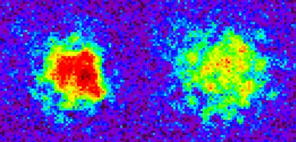 Density Of Atoms At The Beginning Of An Experiment