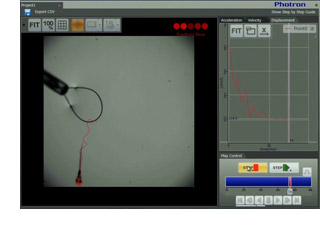 motion analysis software PFA - ver.1.1.0