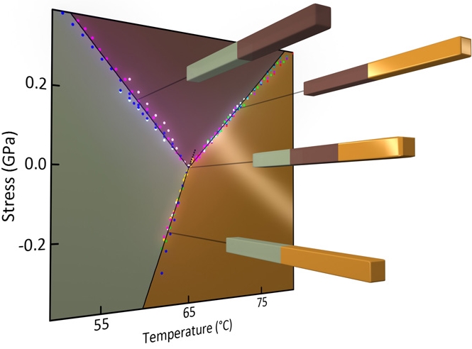 The lines of data points are where two of the three solid-state phases of vanadium dioxide can exist stably together