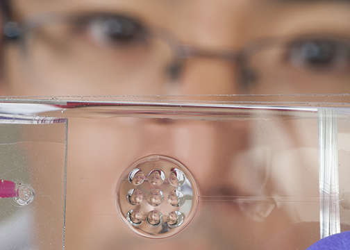 A lens under development at Ohio State University