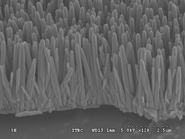 Zno Nanorods Cross Section Osa Sept