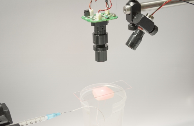 A laser pointer illuminates a microfluidic flow phantom and the speckle pattern is imaged onto a webcam