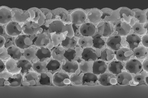 The cross-section micrograph of the thermal emitter