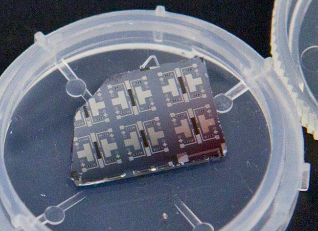 Several prototypes of the synaptic transistor are visible on this silicon chip