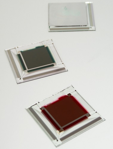 NikkoIA Organic Image Sensors X-Ray, near infrared and visible sensitivity