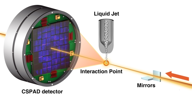 Diagram Of The Experimental Setup SLAC Nov