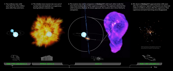 The evolution of the Circinus X-1 system