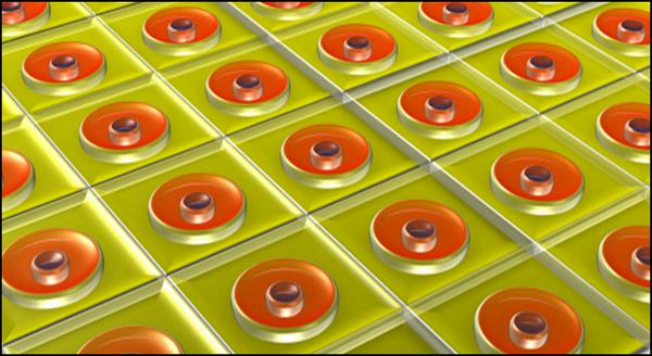 Schematic representation of the active layer of the polymer solar cell