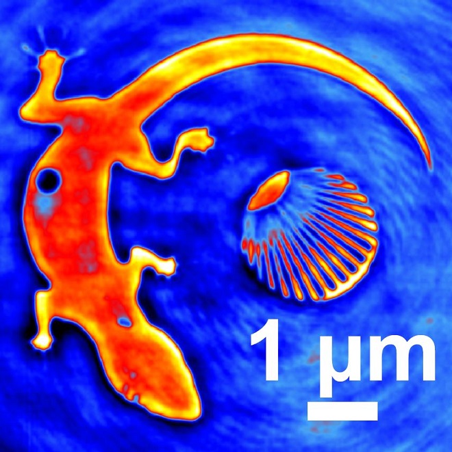 The outline of the lizard serves as a test object, as well as the conventional test pattern, a section of a so called Siemens star