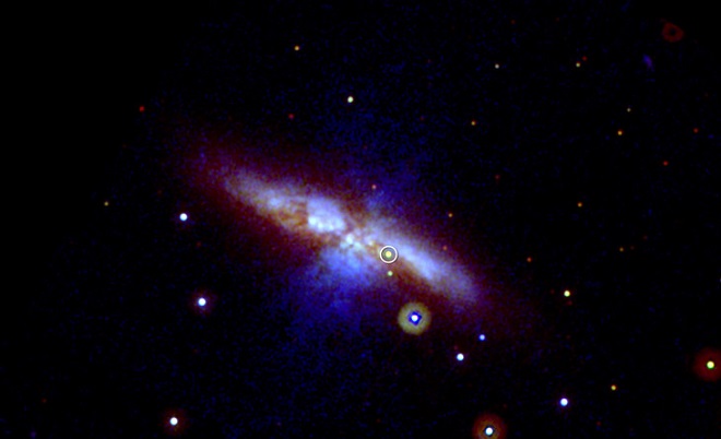 M82