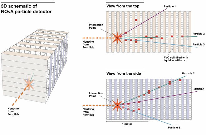 A graphic representation of one of the first neutrino interactions captured at the NOvA far detector in northern Minnesota