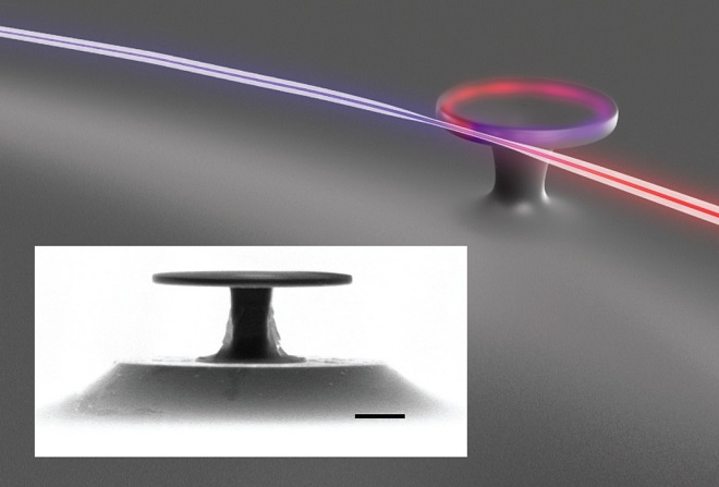 Input light at the fundamental wavelength