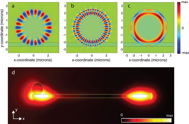 Theoretical simulations of the light characteristics in the ring geometry