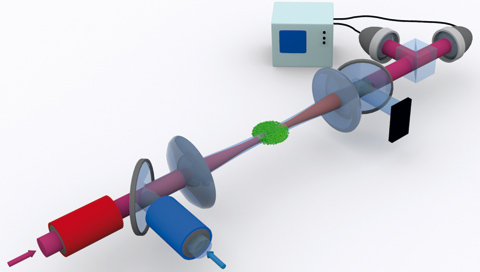 Illustration of the experimental set-up