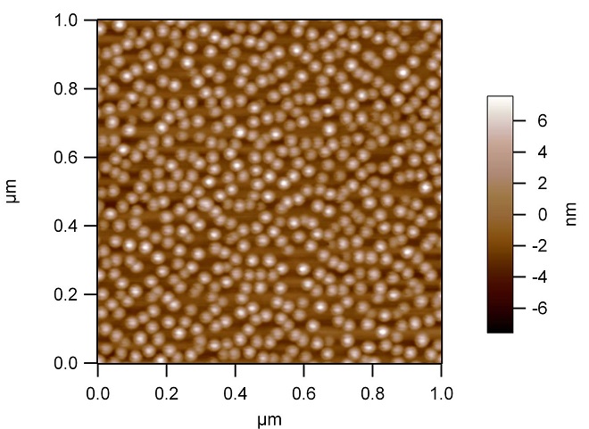 Atomic Force Microscopy (AFM) scan of the quantum dots over an area 1 micrometer (millionth of a meter) x 1 micrometer