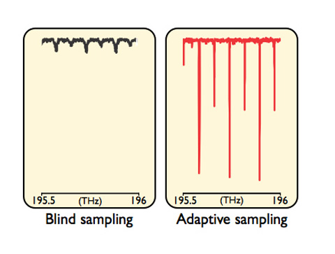 Portion of a dual-comb real-time absorption spectrum of acetylene in the near-infrared region