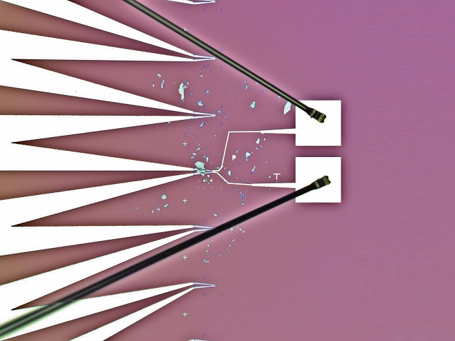 Microscope photograph of WSe2-samples, connected to electrodes