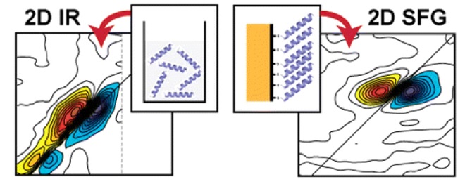 2D IR and 2D SFG