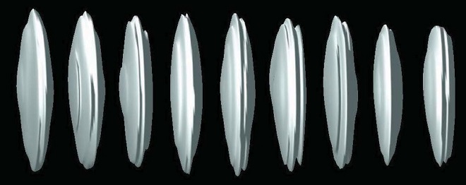 3D image of the vacuum energy distribution in the cavity