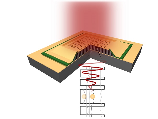 Schematic of the detector