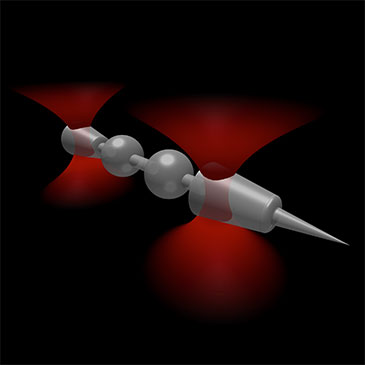 The shaping of micro-scale objects enables fine control over their mechanical interactions with light