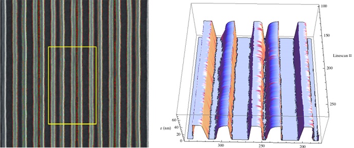 An SEM image of an IC sample of 10 nm wide SiO2 lines