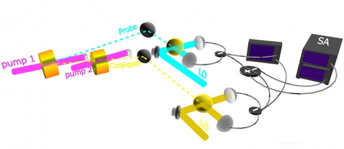 Experimental setup for studying fast light