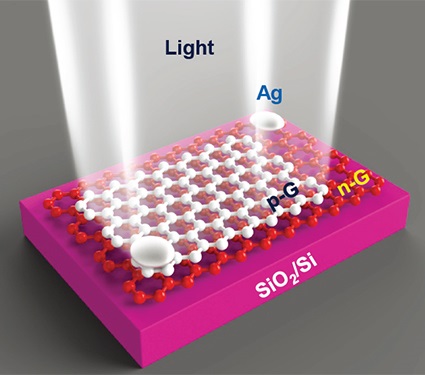 all-graphene p-n vertical junction photodetector with high photoresponsivity