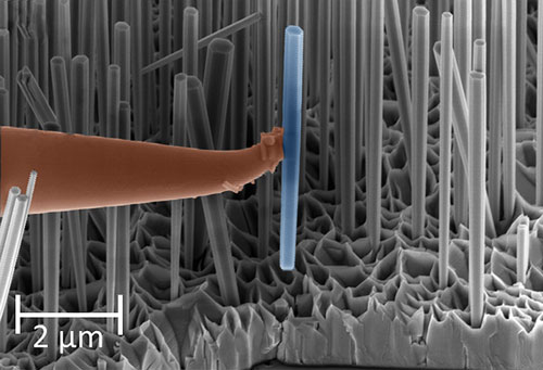 A single GaN nanowire