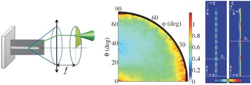 Directional absorption of single nanowire antennas