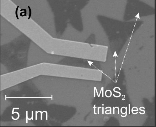 SEM micrograph showing the CVD-grown MoS2 triangular monolayers