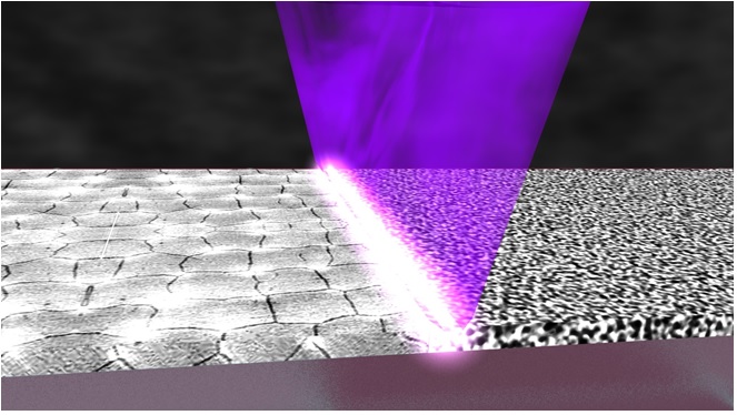 Formation of the polysilicon layer via excimer laser annealing with a line beam focus