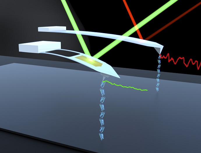 AFM probes