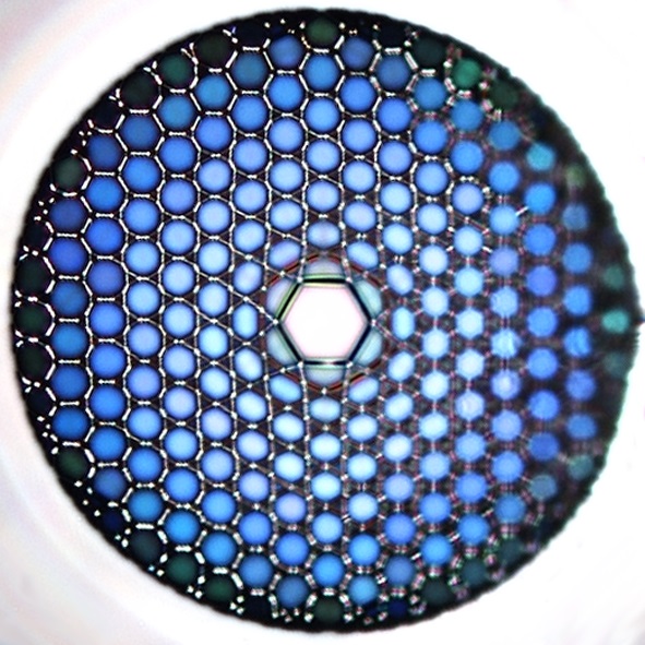 Microscopic image of a hollow-core optical fibre