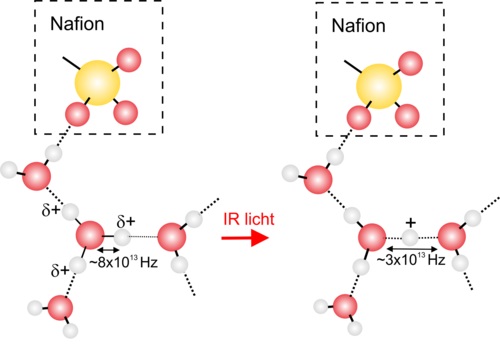 Infrared light causes a vibration in an H3O+ ion