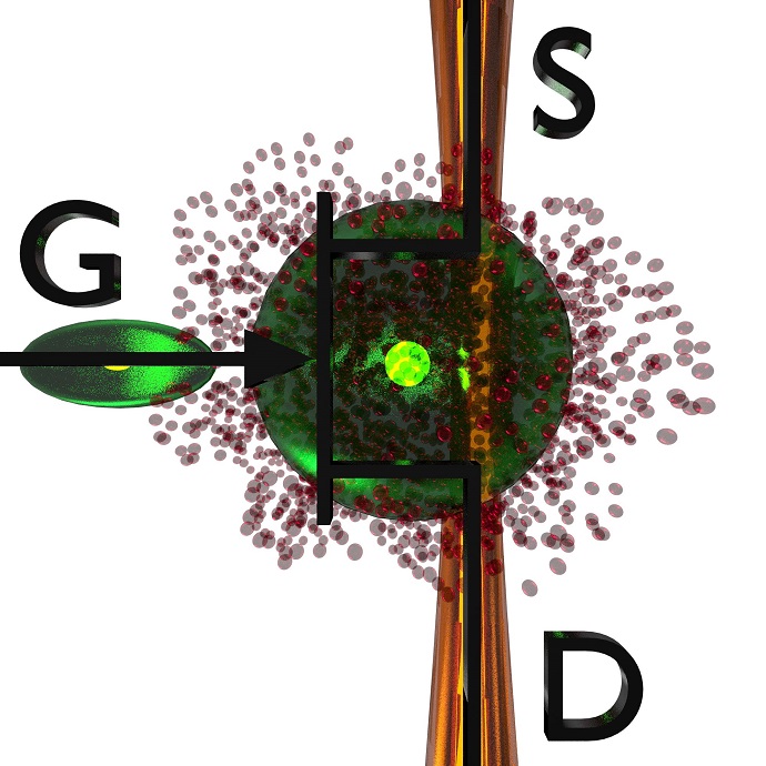 Visualization of an optical transistor