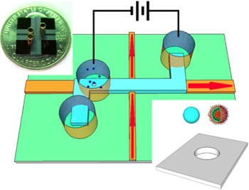 The nanopore-gated optofluidic chip