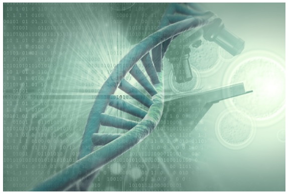 DNA amplification and detection with qPCR