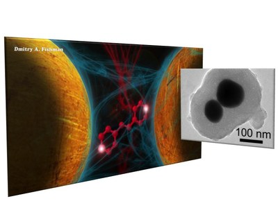 Sketch of the studied molecule and the gold nanoantenna attached to it