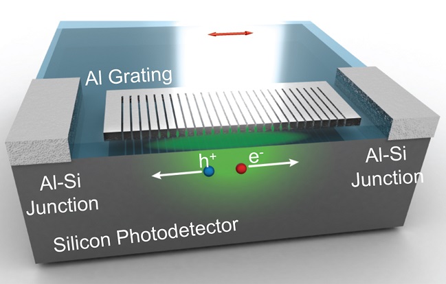 Biomimetic photodetector