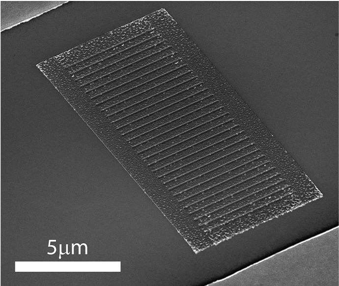 new biomimetic color photodetector