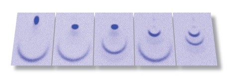 The six different spin states of ytterbium atoms can be separated and then imaged