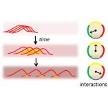 Exhibition of strong quantum optical nonlinearities