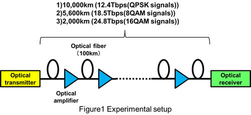 Experimental setup